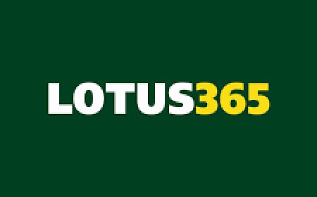 Exploring the World of Lotus365: Your Guide to Online Sports and Casino Betting
