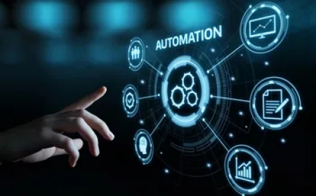 Top Software Development Services Guide