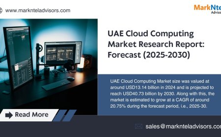 UAE Cloud Computing Market Charts, Data and Strategic Outlook 2030