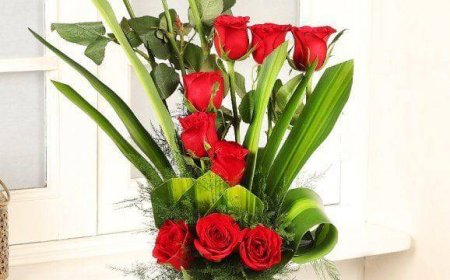 Get Well Soon Gifts Online Thoughtful Surprises That Show You Care