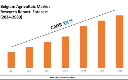 Belgium Agrivoltaic Market Scope, Size and Forecast Analysis Report 2030
