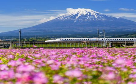 Top 10 Must-Visit Spots in Japan