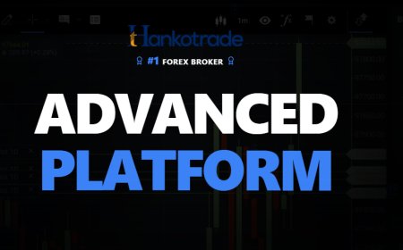 HankoX Review: The Trading Platform Designed Around You