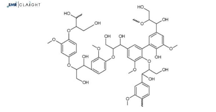 Lignin Market: Trends, Growth Opportunities & Forecast 2025-2034