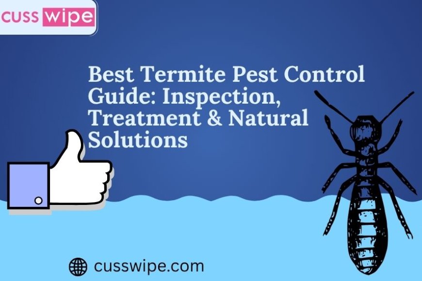 Best Termite Pest Control Guide: Inspection, Treatment & Natural Solutions