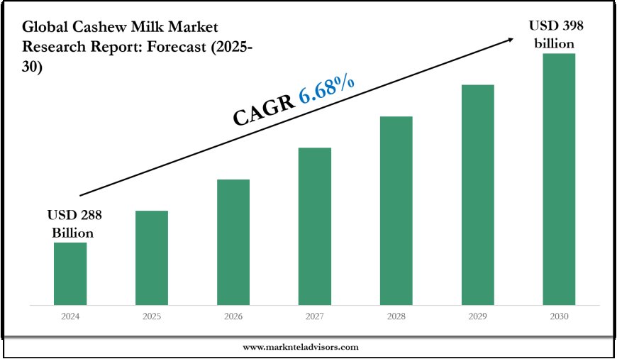 2025–2030 Cashew Milk Market Landscape: Growth, Share & Opportunities