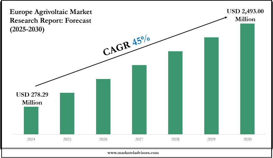 Exploring Europe Agrivoltaic Market Trends: Growth Outlook to 2030