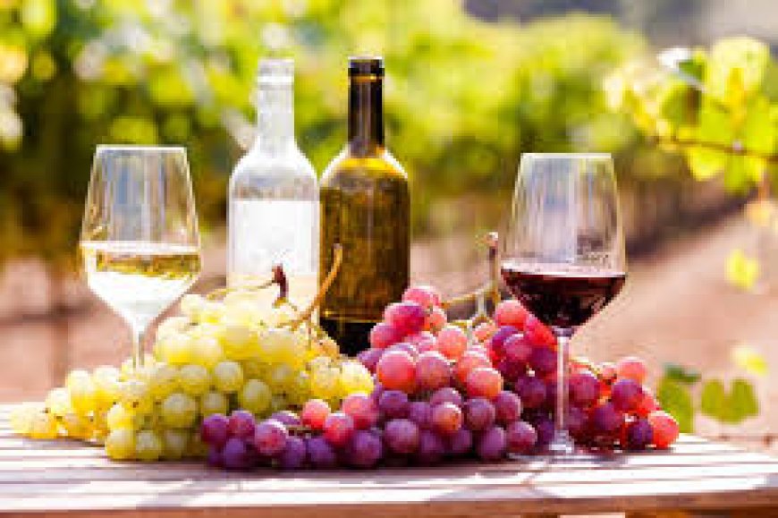 Discover the Perfect Wine Basket Gifts Under $50 – A Savvy Shopper’s Delight