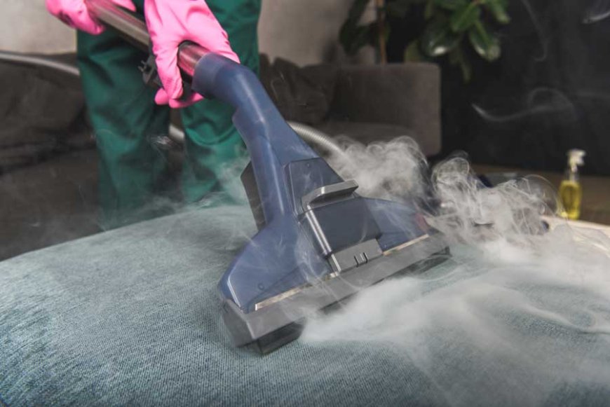 Upholstery Steam Cleaner Denver, CO