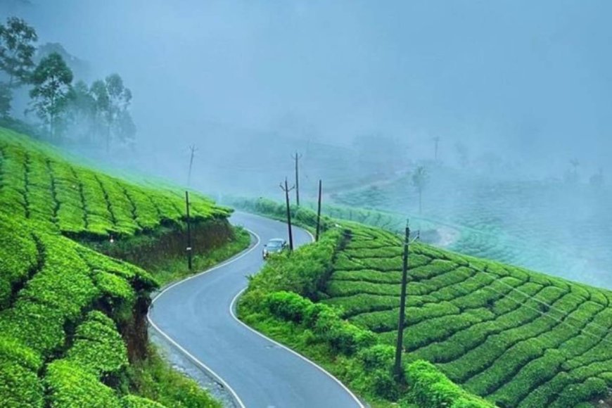 Beyond the Tea Estates: Hidden Gems to Add to Your Munnar Package