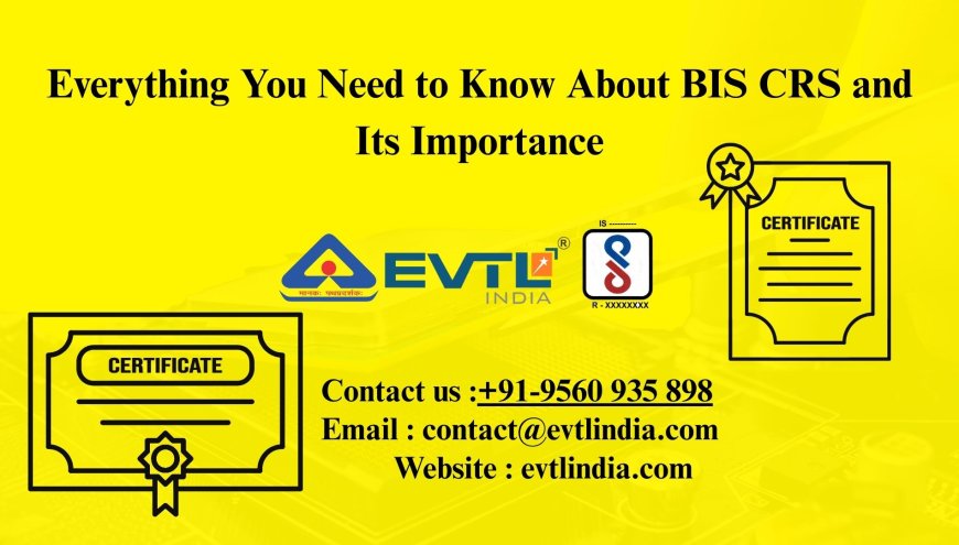 Everything You Need to Know About BIS CRS and Its Importance