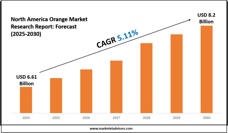 North America Orange Market Size Growth to USD 8.2 Billion by 2030
