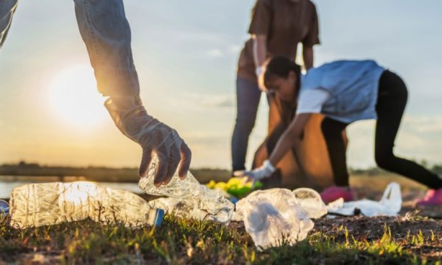 Private Bin Collection: Your Key to Stress-Free Waste Disposal