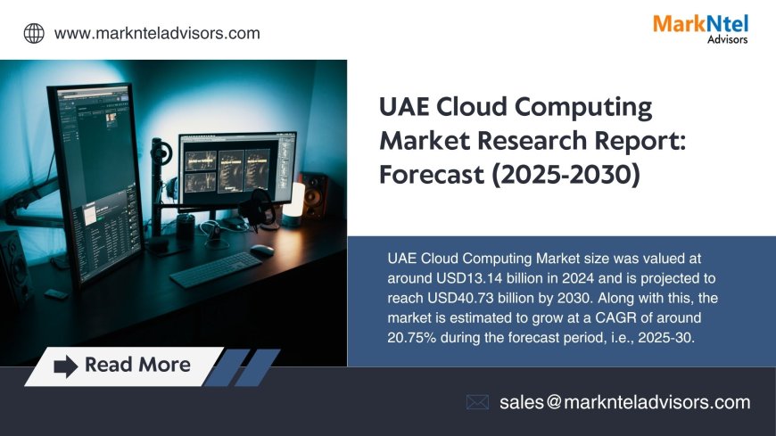 UAE Cloud Computing Market Charts, Data and Strategic Outlook 2030