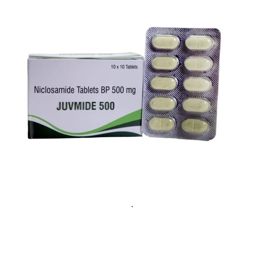 How Niclosamide Works to Eliminate Intestinal Parasites