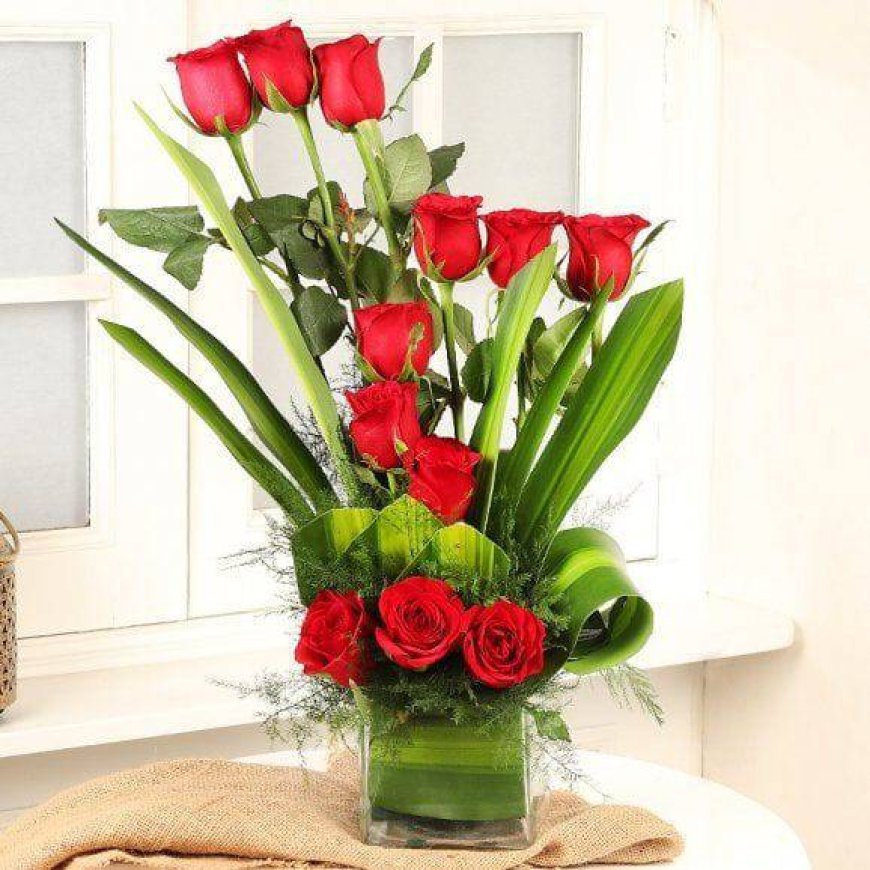 Get Well Soon Gifts Online Thoughtful Surprises That Show You Care