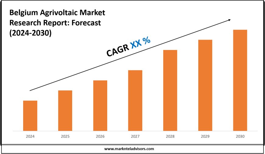 Belgium Agrivoltaic Market Scope, Size and Forecast Analysis Report 2030