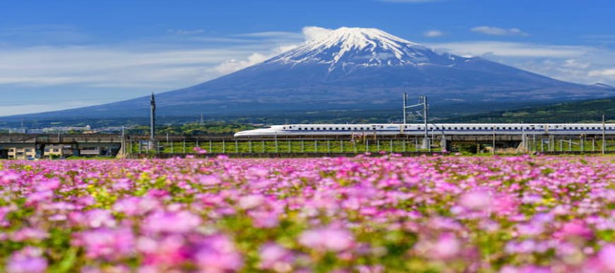 Top 10 Must-Visit Spots in Japan
