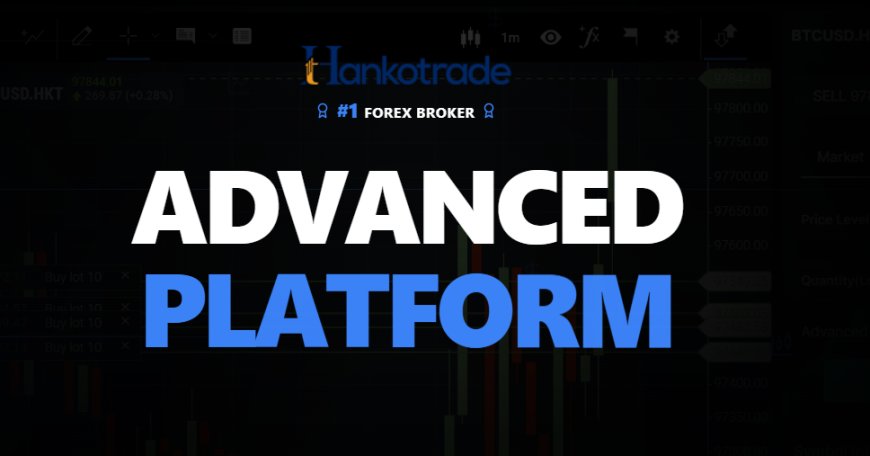 HankoX Review: The Trading Platform Designed Around You